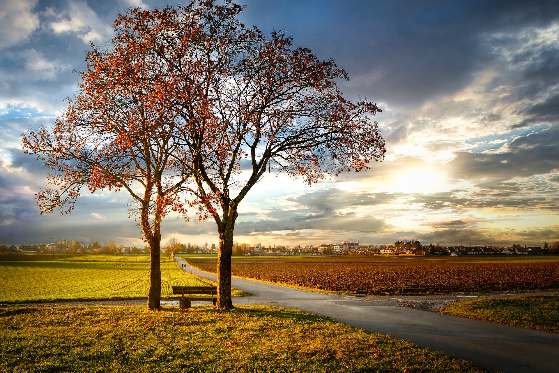 Weg, Baum, Herbst