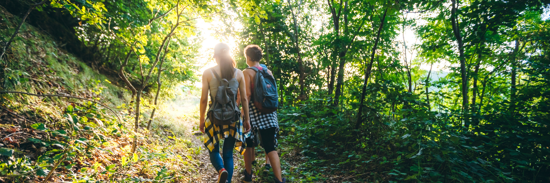 Zwei Menschen gehen durch einen Wald